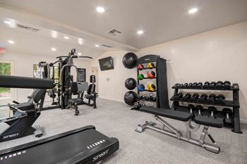 the gym is stocked with weights and cardio equipment